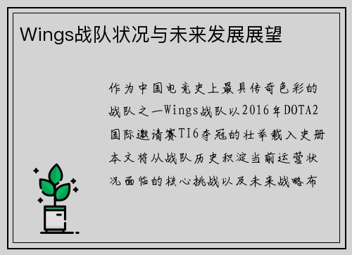 Wings战队状况与未来发展展望